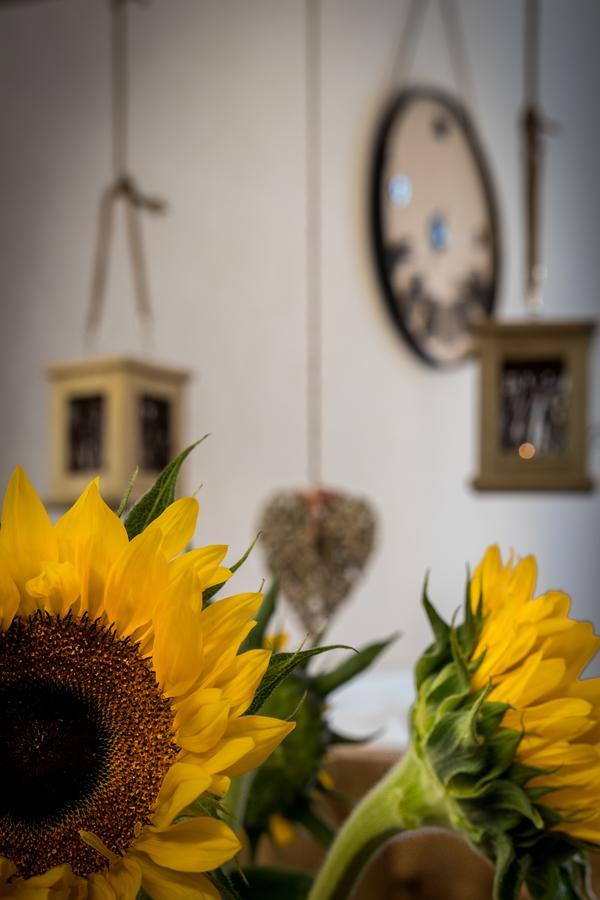Cracow Best Location Apartment By Cozyplace คราคูฟ ภายนอก รูปภาพ